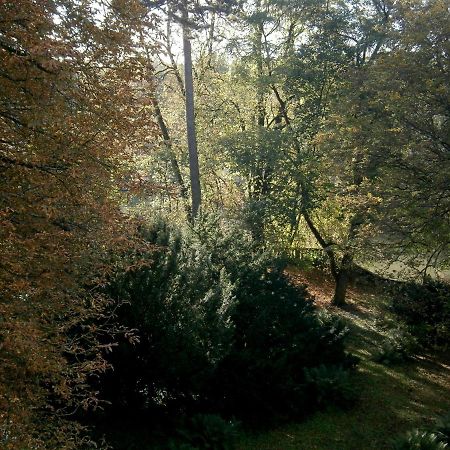 La Reverie Montbéliard Екстериор снимка